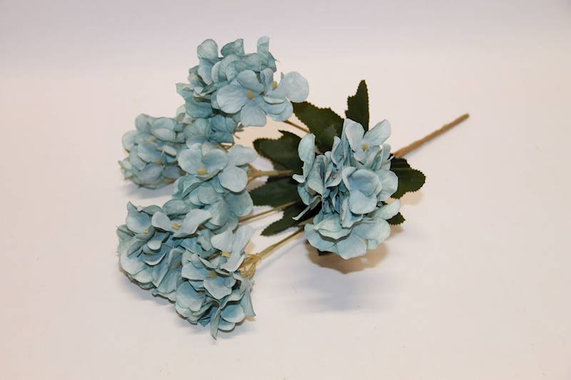 HORTENSJA BUKIECIK BLUE 