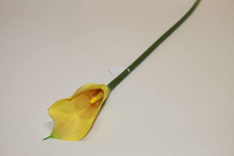 KALLA POJ. GUMA LEMON