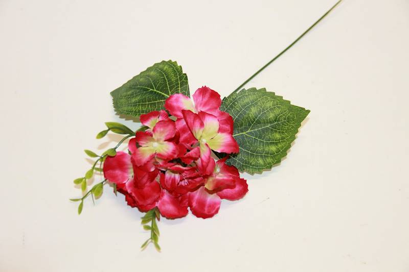 HORTENSJA PIK BEAUTY