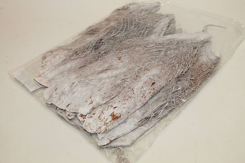 PALM BAKLA WW250