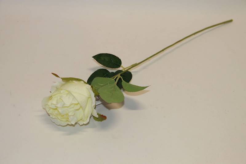 RÓŻA GAŁĄZKA WHITE 56 CM