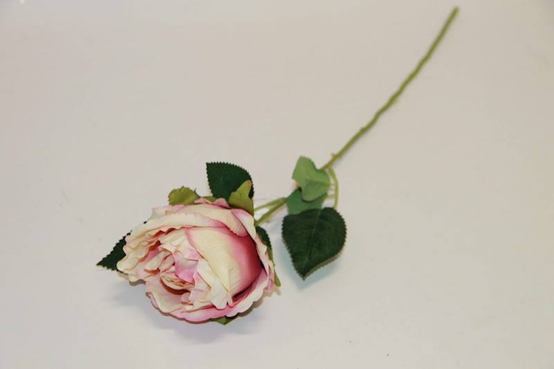 RÓŻA GAŁĄZKA CREAM/PINK 56 CM