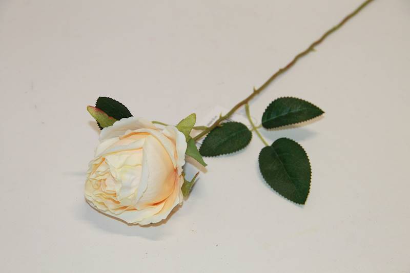 RÓŻA GAŁĄZKA LT.PEACH 56 CM