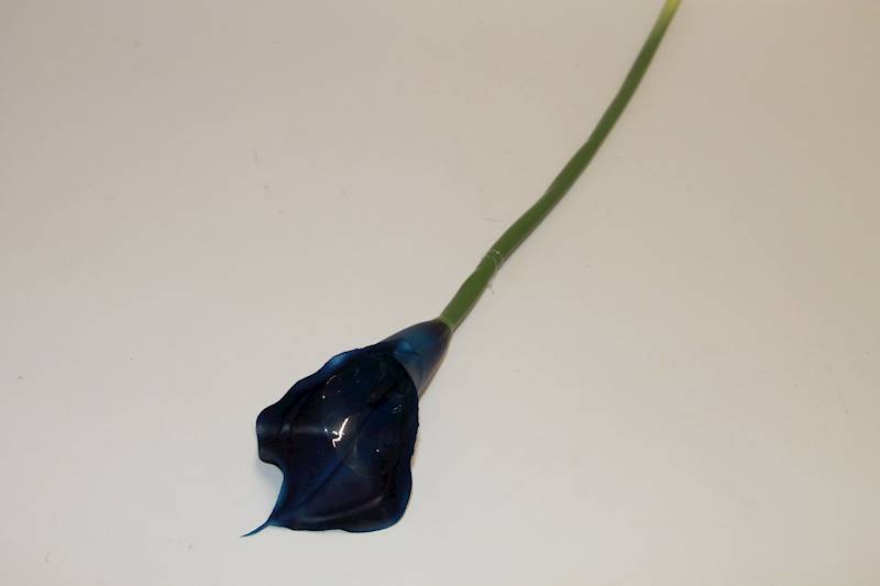 KALLA POJ. GUMA DEEP BLUE