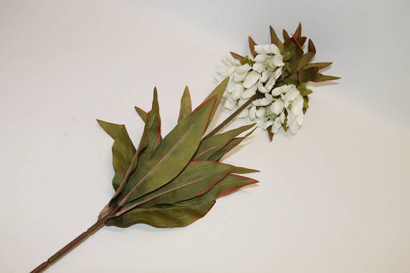 SZACHOWNICA CESARSKA • ': WHITE.