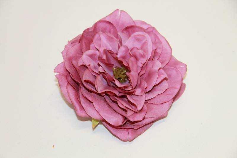 PEONIA WYROBOWA • ': LILAC