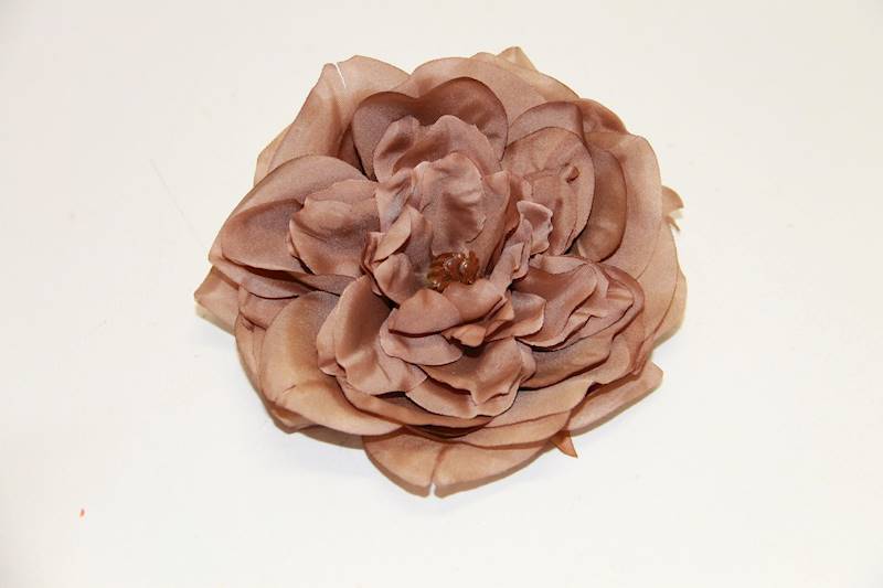 PEONIA WYROBOWA • ': BROWN.