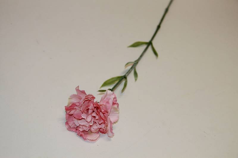 GOŹDZIK POJ. • ,;: ROSE #3067V