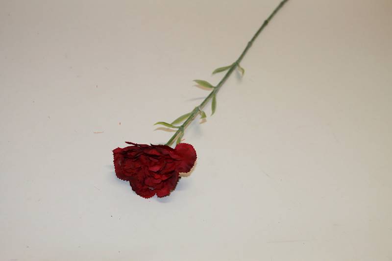 GOŹDZIK POJ. • ,;: BURGUNDY #3369V