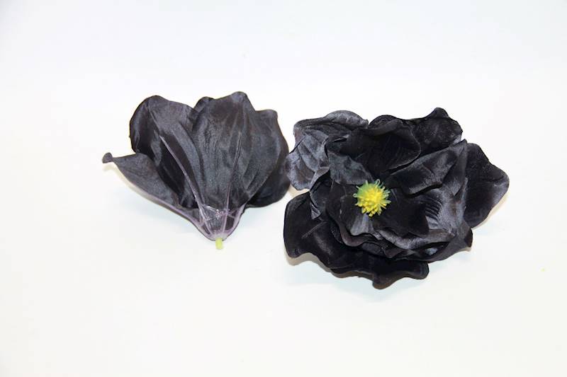MAGNOLIA WYR. • ': BL/36