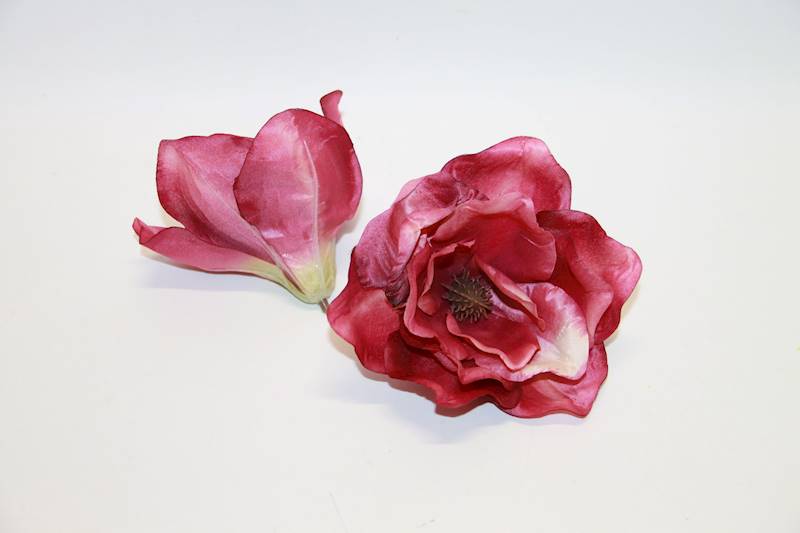 MAGNOLIA WYR. • ': MA.PK/54