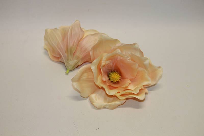 MAGNOLIA WYR. • ': CH.PK/28