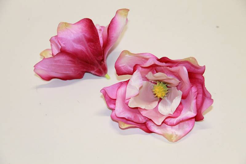 MAGNOLIA WYR. • ': /CR.PK/30