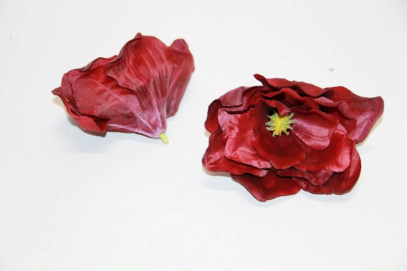 MAGNOLIA WYR. • ': DK.RD/62