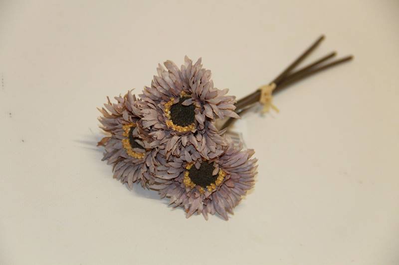 GERBERA X 3 • ': FIOLETO-BRĄZ