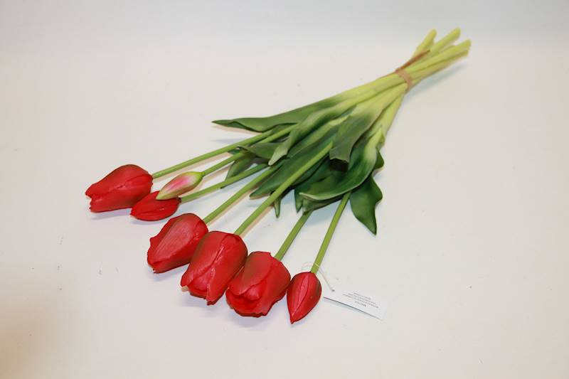 TULIPAN GUMA X7 CZERWONY