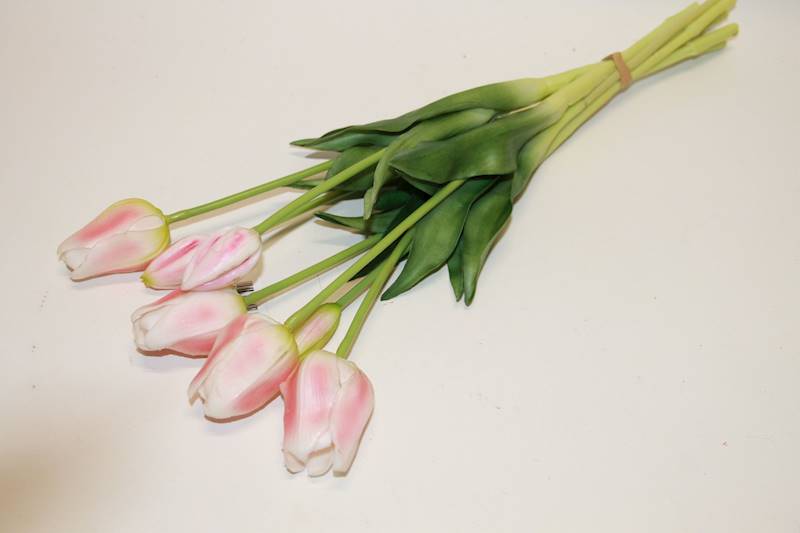 TULIPAN GUMA X7 RÓŻOWY