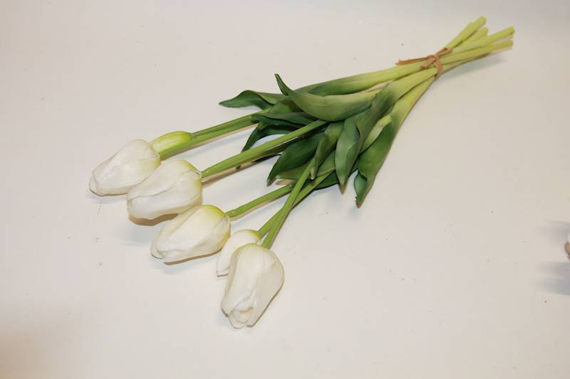 TULIPAN GUMA X7 BIAŁY