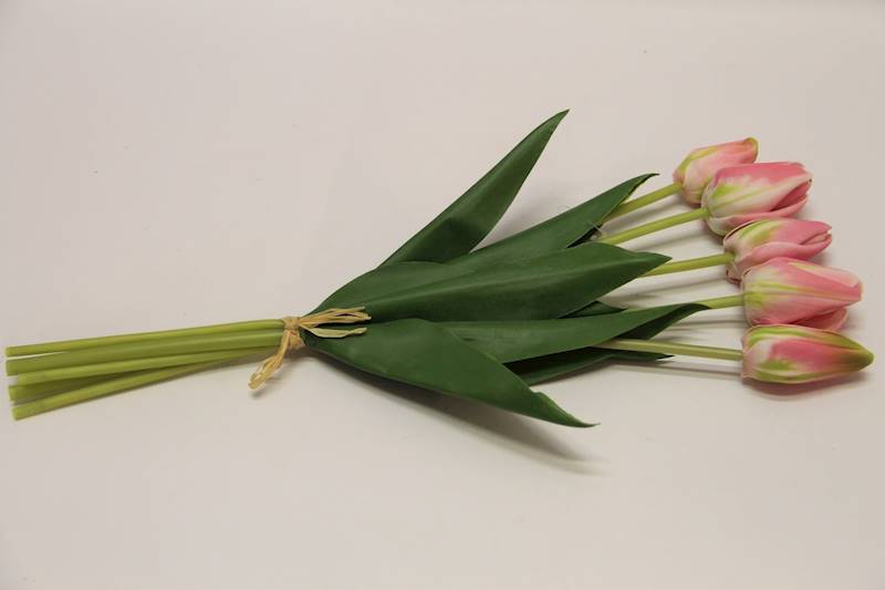 TULIPAN X 5 PIANKA • ": RÓŻOWY