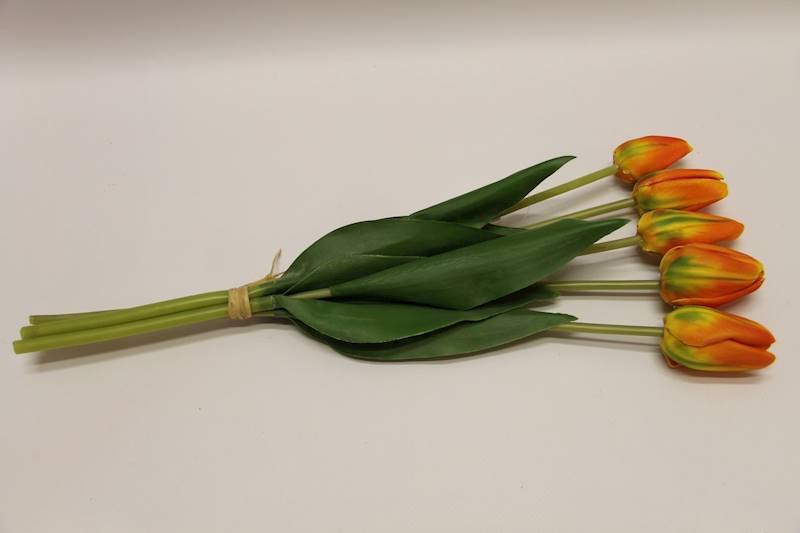 TULIPAN X 5 PIANKA • ": POMARAŃCZOWY