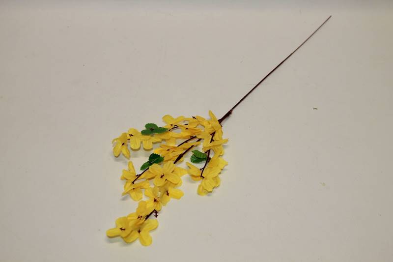 FORSYCJA