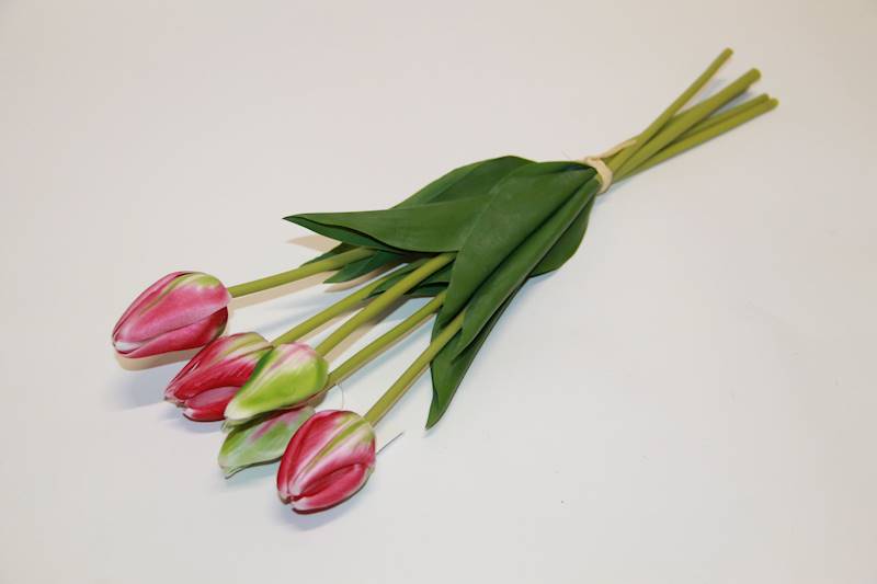 TULIPAN X 5 PIANKA • ": CIEMNO RÓŻOWY