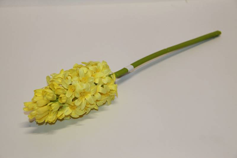 HIACYNT POJEDYŃCZY • ': #2325A LEMON