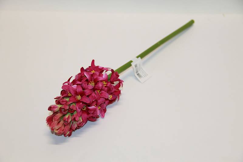HIACYNT POJEDYŃCZY • ': #2713 FUCHSIA