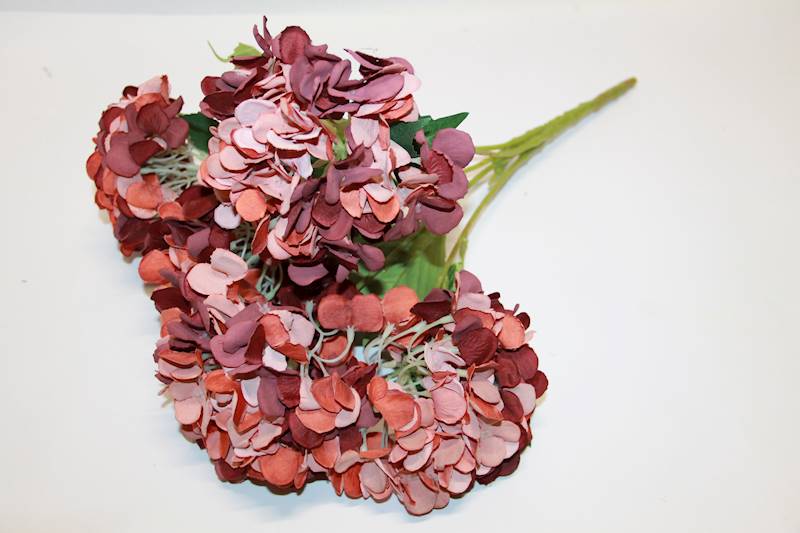 HORTENSJA BUKIET X 5 AUTUM MAUVE/ORANGE