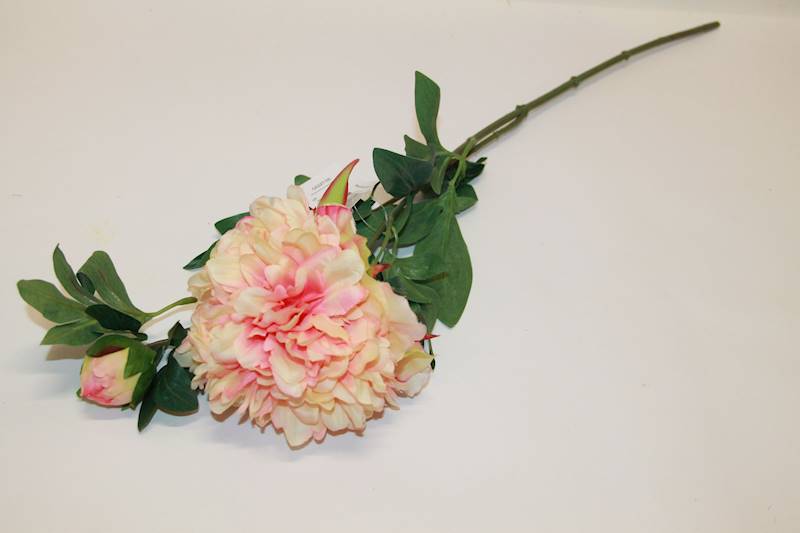 PEONIA GAŁĄZKA PINK  65 CM