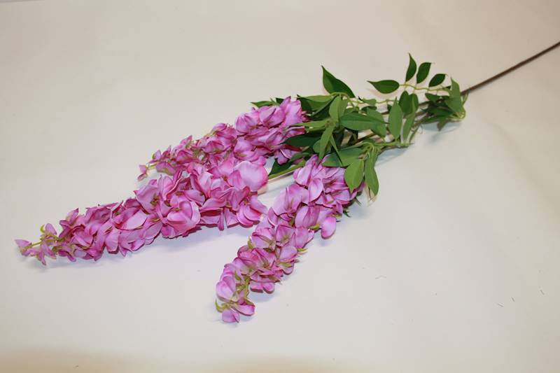 WISTERIA • ,;: #3475 VIOLET