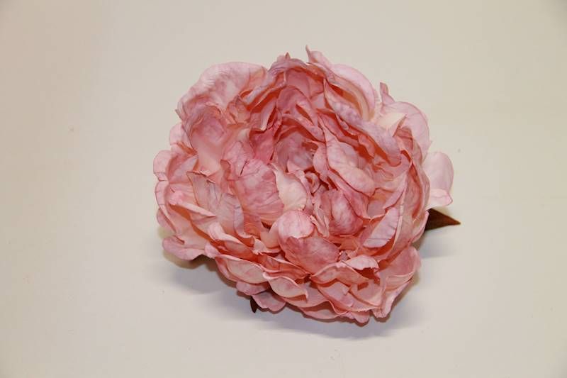 PEONIA WYROBOWA DIRTY PINK
