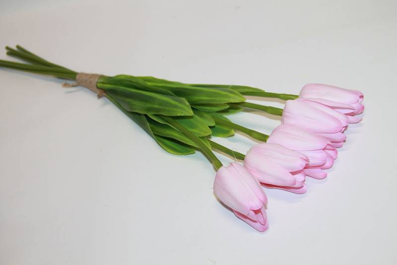 TULIPAN SILIKONOWY X5 LT.PINK