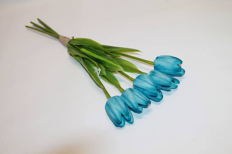 TULIPAN SILIKONOWY X5 BLUE