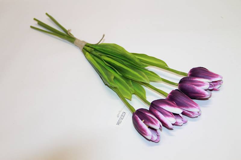 TULIPAN SILIKONOWY X5 PLUM