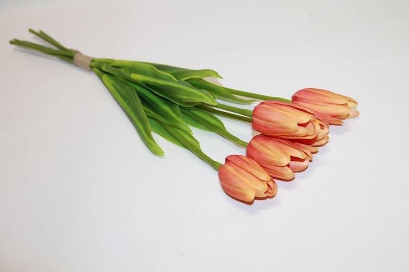 TULIPAN SILIKONOWY X5 ORANGE