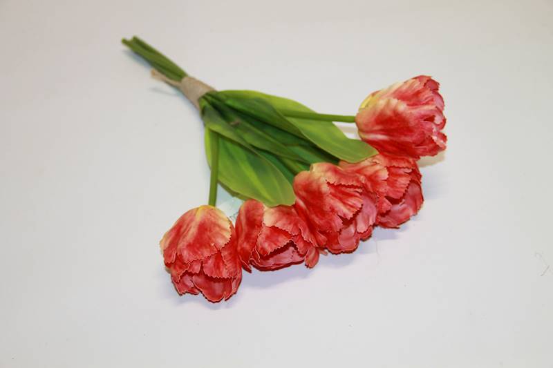 TULIPAN SILIKONOWY X5