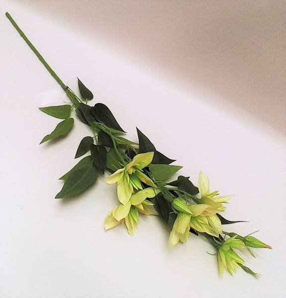 KLEMATIS GAŁĄZKA • ,;: #1935 LT. GREEN