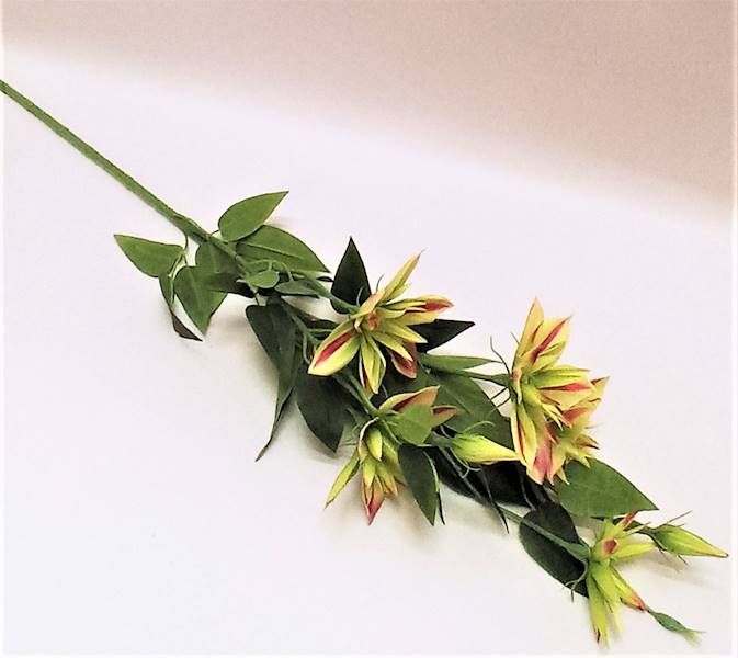 KLEMATIS GAŁĄZKA • ,;: #1800A GREEN BEAUTY