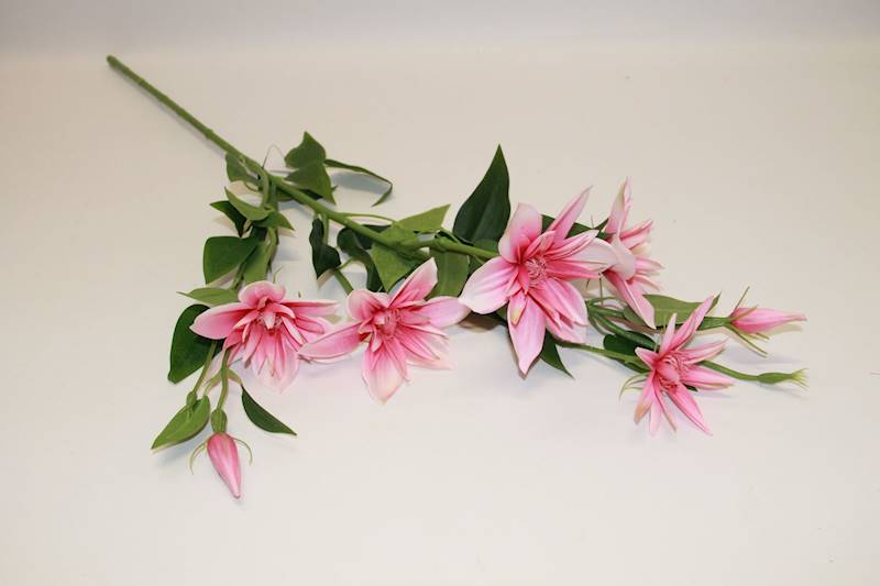 KLEMATIS GAŁĄZKA • ,;: SWEET PINK/ 2825