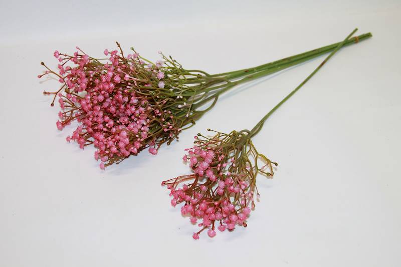 GIPSÓWKA GAŁĄZKA PINK