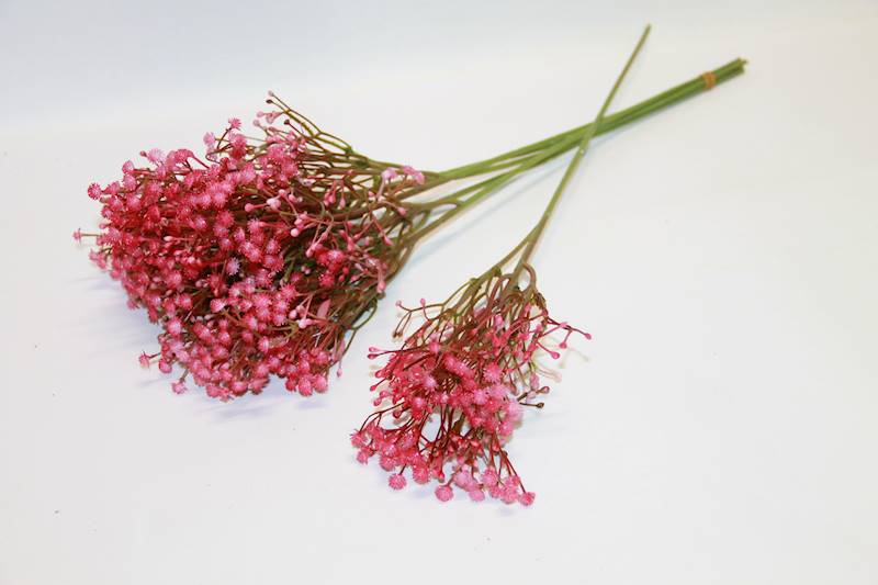 GIPSÓWKA GAŁĄZKA FUCHSIA