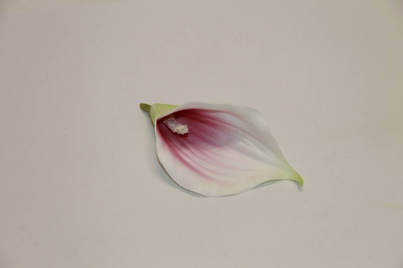 KALIA WYROBOWA PIANKA KREM/PURPLE