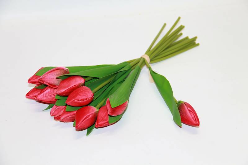 TULIPAN X12 (1,10 ZŁ/SZT)