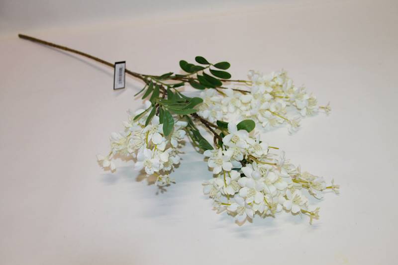 ROBINIA GAŁĄZKA CREM