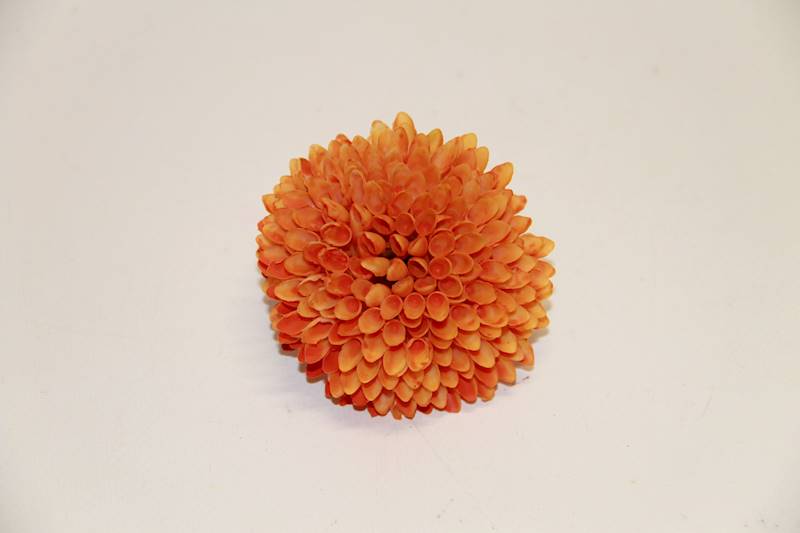 CZOSNEK WYROBOWY  • ': ORANGE.