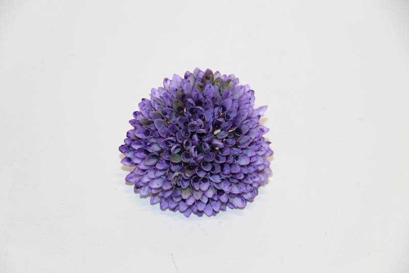 CZOSNEK WYROBOWY  • ': VIOLET.