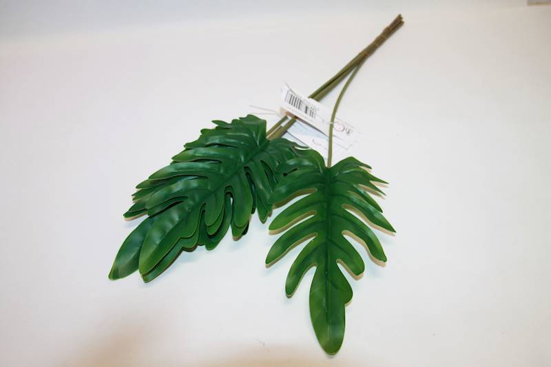 MONSTERA PHILO 62 CM