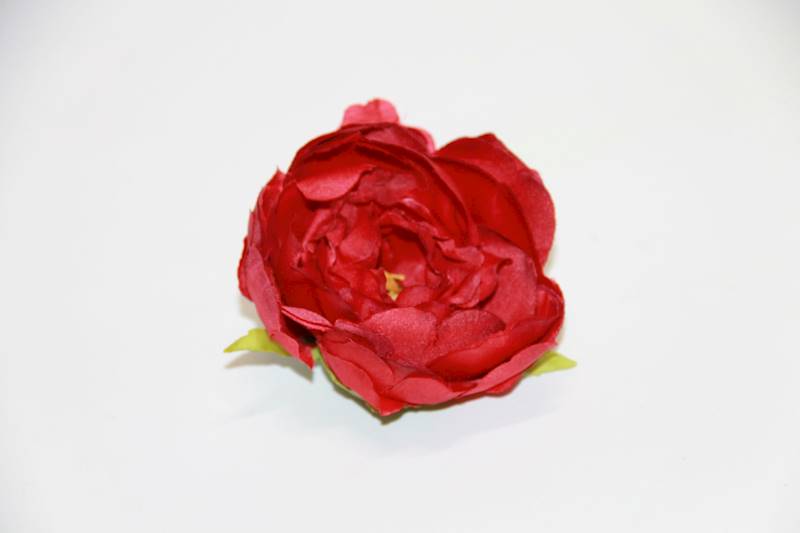 PEONIA wyr. red 9 CM