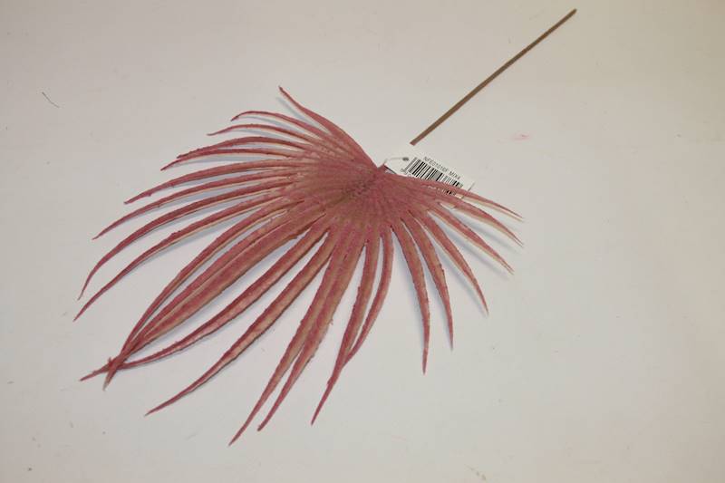 LIŚĆ PALMY PINK